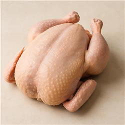 Poultry