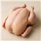 Poultry