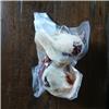 lamb offal