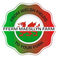 Maesllyn Meatboxes